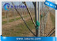 植物の木サポート ポーランド人の棒のための抑制剤のPultrudedの紫外線ガラス繊維棒